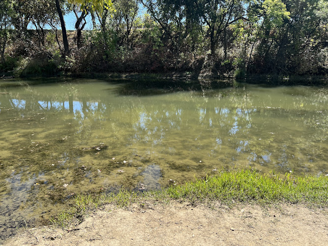 Putah Creek Riparian Reserve