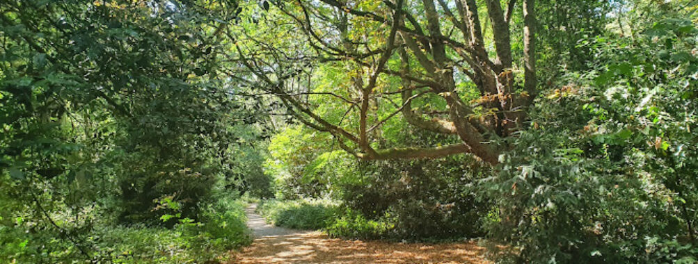 Putney Heath Travel Forum Reviews