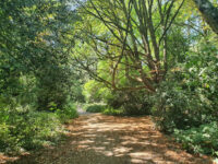 Putney Heath Travel Forum Reviews