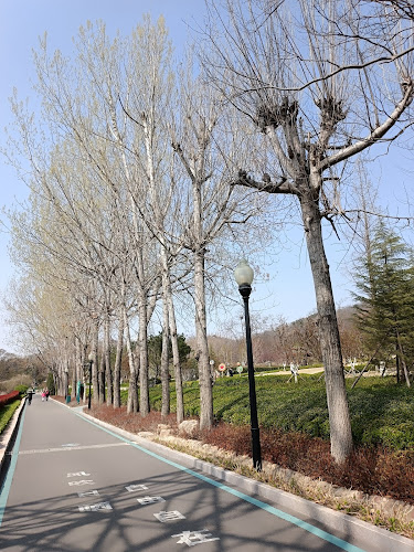 Qingdao Zhongshan Park