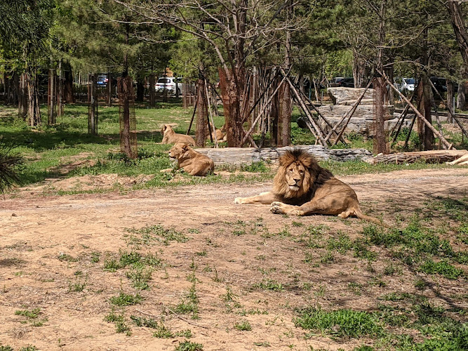 Qinhuangdao Wildlife Park