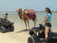 Quad Mahdia Travel Forum Reviews