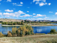 Quarry Lakes Regional Recreation Area Travel Forum Reviews