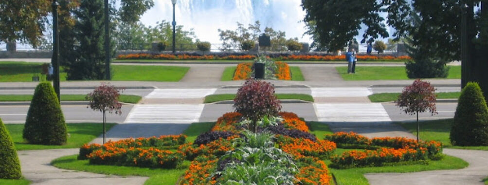 Queen Victoria Park Travel Forum Reviews