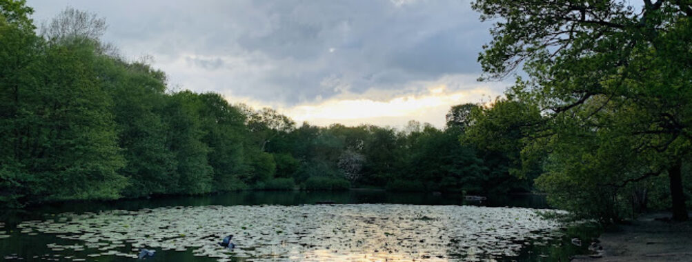 Queen's Mere Travel Forum Reviews