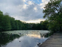 Queen's Mere Travel Forum Reviews