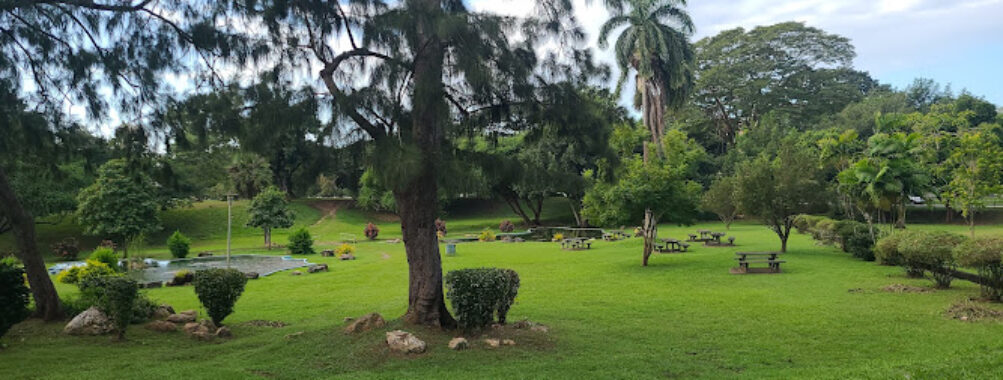 Queen's Park Savannah Travel Forum Reviews