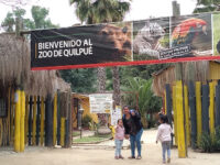Quilpue Zoo Travel Forum Reviews