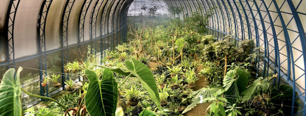 Quito Botanical Gardens Travel Forum Reviews