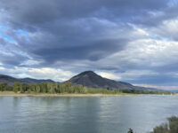 Rabbit Island Travel Forum Reviews