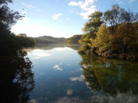 Radnor Lake State Park Travel Forum Reviews