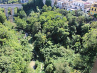 Ragusa sottosuolo Travel Forum Reviews