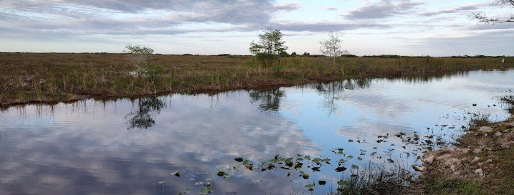 Rainbow Airboat Ride Travel Forum Reviews