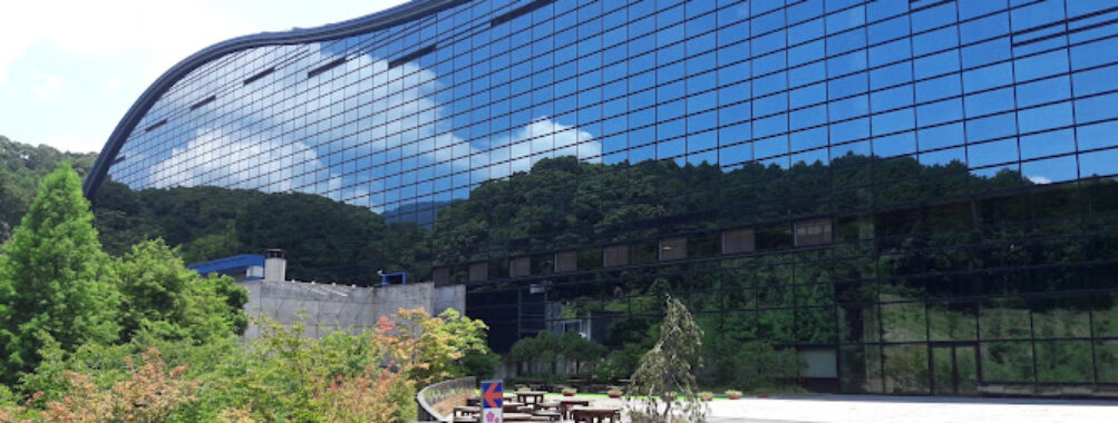 Rainbow Tunnel (Access Tunnel to Kyushu National Museum) Travel Forum Reviews