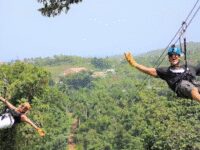 Rainforest Zipline Park Travel Forum Reviews