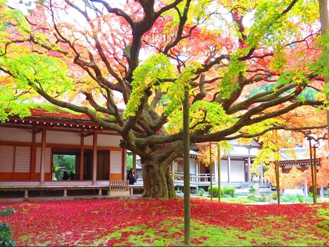 Raizansennyoji Taihioin