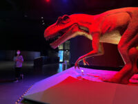 Rama IX Museum, Historic and Science Museum Travel Forum Reviews