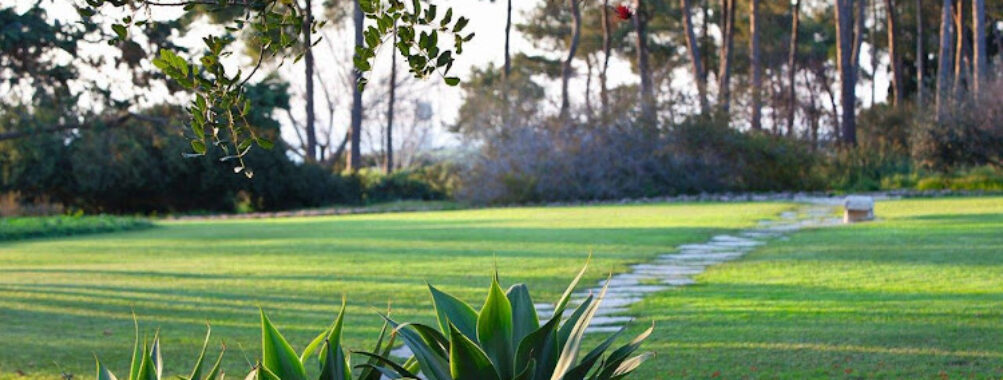 Ramat Hanadiv Travel Forum Reviews