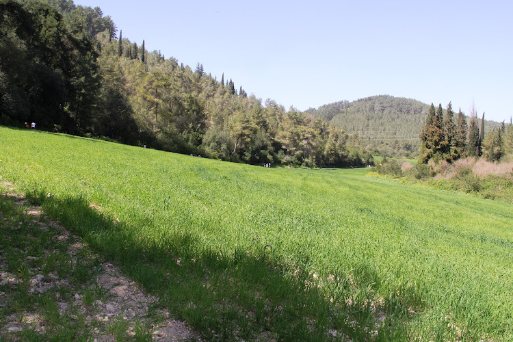 Ramat Menashe Park