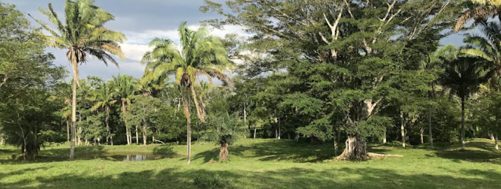 Rancho Camacho Travel Forum Reviews