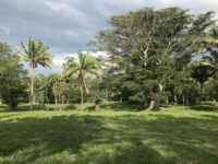 Rancho Camacho Travel Forum Reviews