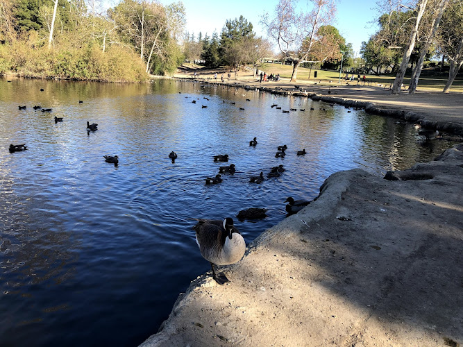 Rancho Simi Park Lake