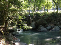 Rancho Zempalegual Travel Forum Reviews