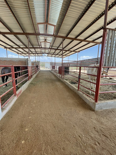 Rancho las 3 Lupitas