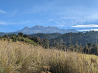 Ranchoalegre Travel Forum Reviews