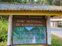 Ranomafana National Park Travel Forum Reviews