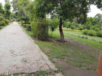 Rasikh Irfani Park Travel Forum Reviews
