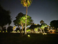 Rawdat Al Khail Park Travel Forum Reviews