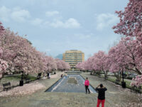 Rawlins Park Travel Forum Reviews