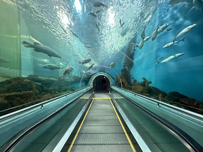 Rayong Aquarium