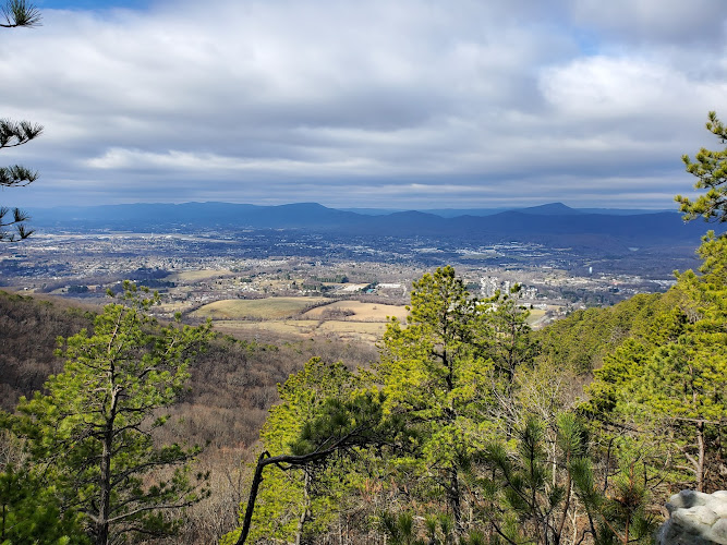 Read Mountain Preserve