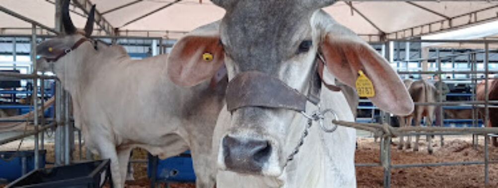 Recinto Ferial Plaza De Toros Lago Agrio Travel Forum Reviews