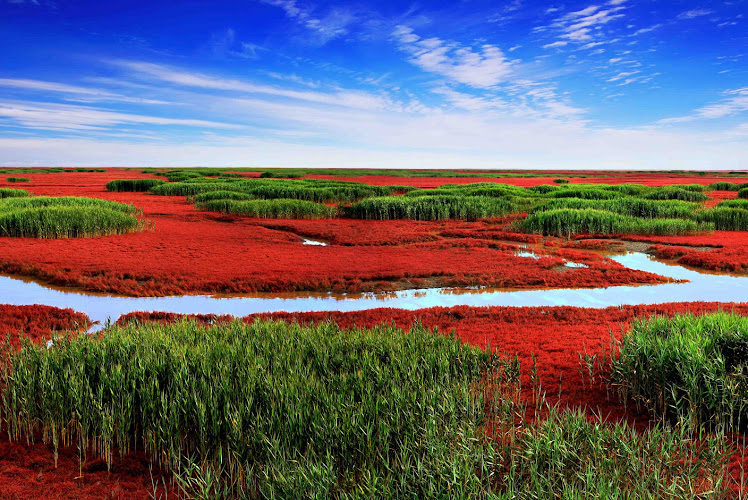 Red Beach
