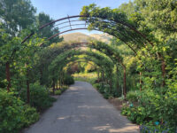 Red Butte Garden Travel Forum Reviews