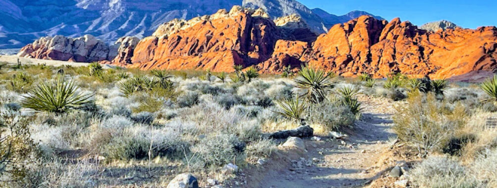 Red Rock Canyon National Conservation Area Travel Forum Reviews