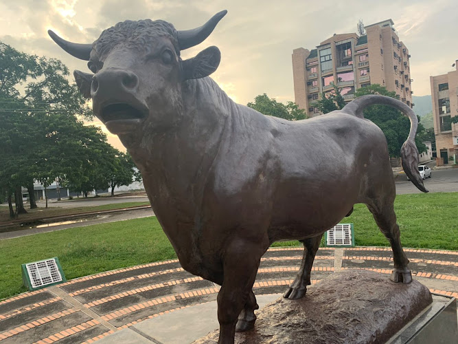 Redoma El Toro
