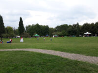 Redona Park Travel Forum Reviews
