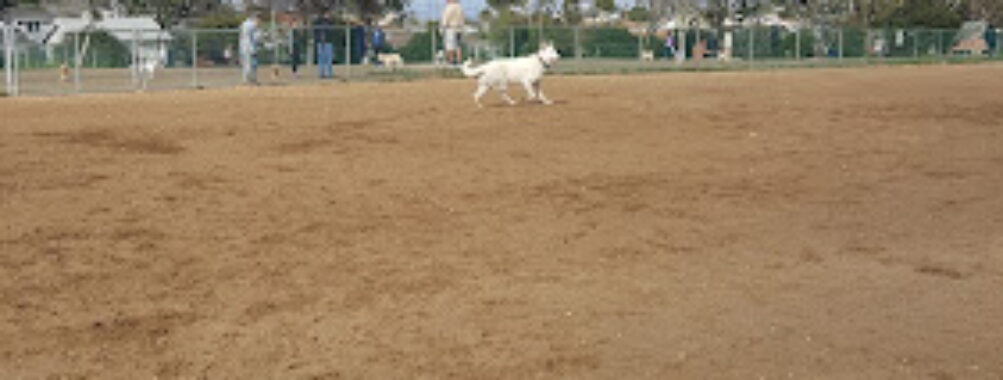 Redondo Beach Dog Park Travel Forum Reviews