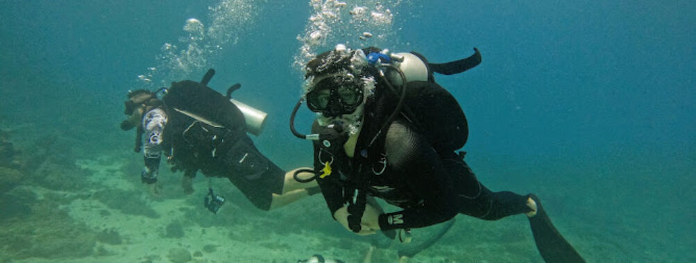Reef Oasis Diving Center Travel Forum Reviews