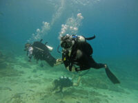 Reef Oasis Diving Center Travel Forum Reviews