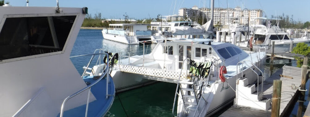 Reef Tours Travel Forum Reviews