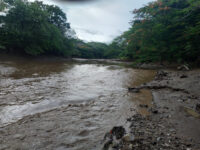 Refugio de Vida Silvestre Río Escalante Chacocente Travel Forum Reviews