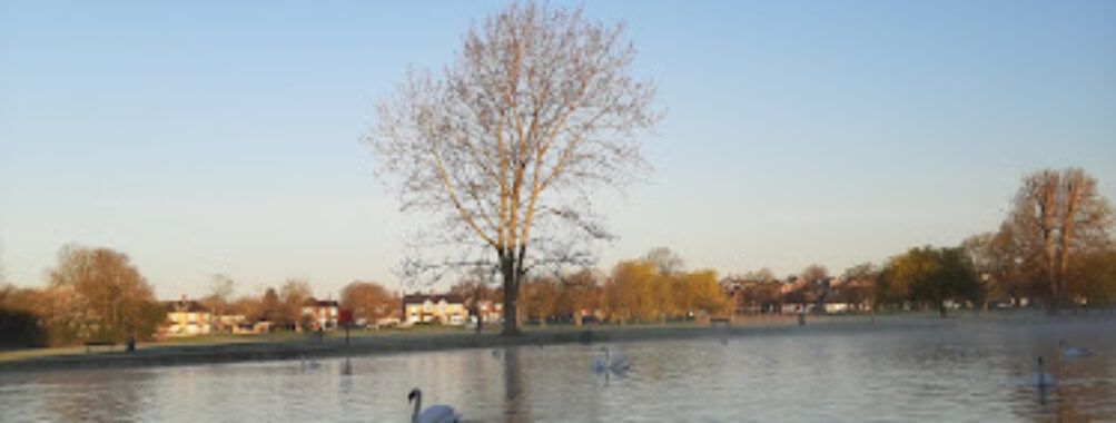 Regatta Meadow Travel Forum Reviews