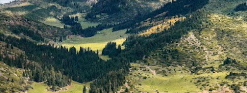 Reise nach Kirgisistan Travel Forum Reviews
