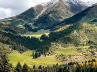 Reise nach Kirgisistan Travel Forum Reviews