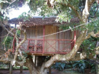 Relais de la Montagne d'Ambre Travel Forum Reviews